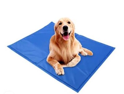 Pawise PCM Jelli Serinletici Köpek Matı (M, 50x40 cm)