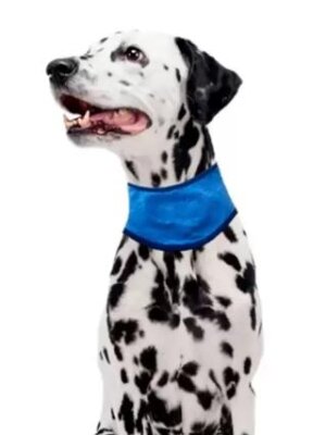 Pawise Islatınca Serinleten Köpek Bandanası (M, 38-46 cm)