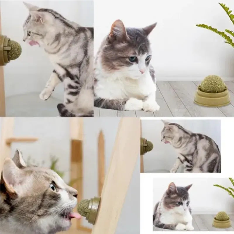 Kedi Nanesi Dolgulu Oyun Topu
