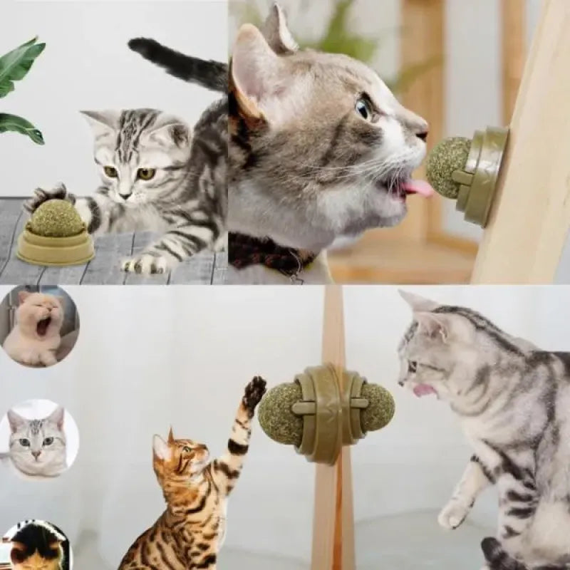 Kedi Nanesi Dolgulu Oyun Topu