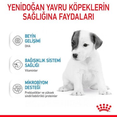 Royal Canin Yavru Köpek Süt Tozu 400 gr (Biberon Hediyeli)