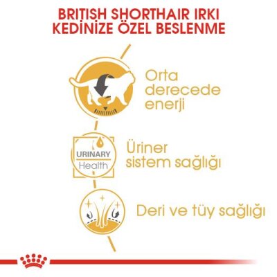 Royal Canin British Shorthair Sos İçinde Kedi Konservesi 85 gr