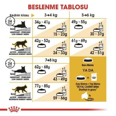 Royal Canin British Shorthair'e Özel Yetişkin Kedi Maması 400 gr