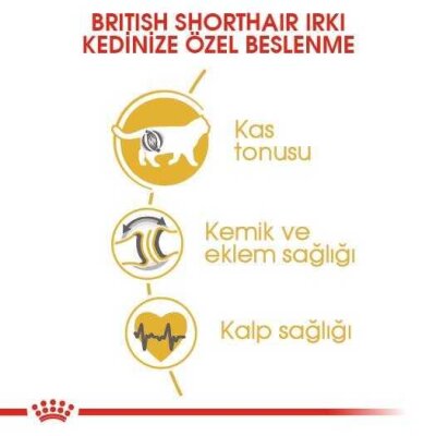 Royal Canin British Shorthair'e Özel Yetişkin Kedi Maması 400 gr