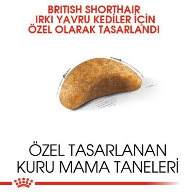Royal Canin British Shorthair Özel Yavru Kedi Maması 2 kg