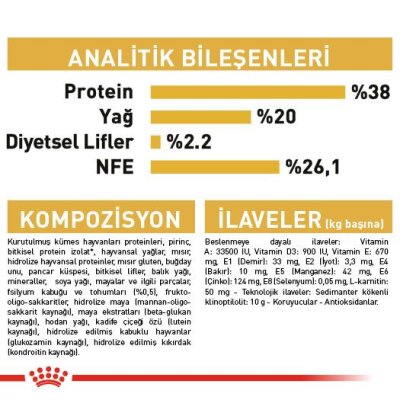 Royal Canin British Shorthair Özel Yavru Kedi Maması 2 kg