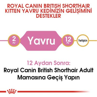 Royal Canin British Shorthair Özel Yavru Kedi Maması 2 kg