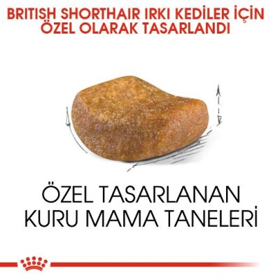 Royal Canin British Shorthair Irka Özel Yetişkin Kedi Maması 2 kg
