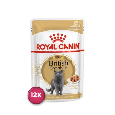 Royal Canin British Shorthair Yetişkin Yaş Kedi Maması 85 gr x 12