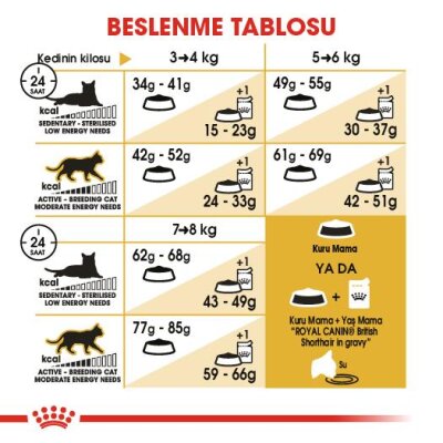 Royal Canin British Shorthair Irka Özel Yetişkin Kedi Maması 4 kg