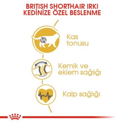 Royal Canin British Shorthair Irka Özel Yetişkin Kedi Maması 4 kg