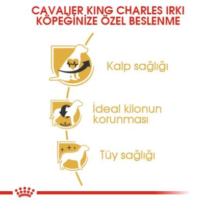 Royal Canin Cavalier King Charles Irkına Özel Köpek Maması 1,5 kg