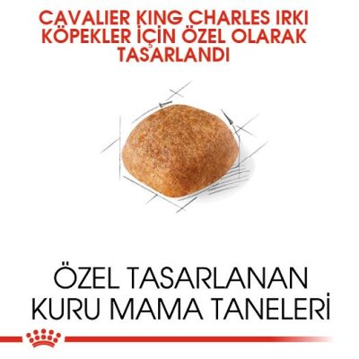 Royal Canin Cavalier King Charles Irka Özel Köpek Maması 3 kg