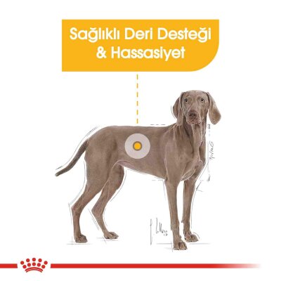 Royal Canin Dermacomfort Deri Sağlığı Büyük Irk Köpek Maması 12 kg