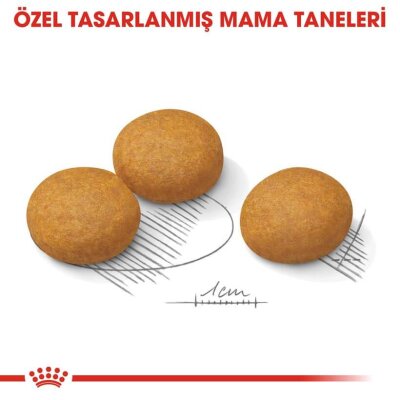 Royal Canin Dermacomfort Hassas Deri Orta Irk Köpek Maması 12 kg
