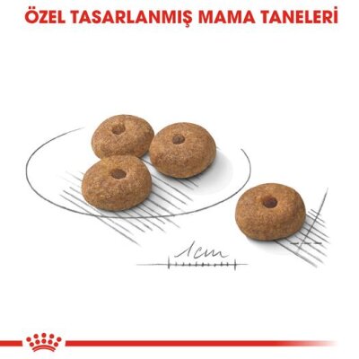 Royal Canin Kısırlaştırılmış Mini Irk Köpek Maması 3 kg