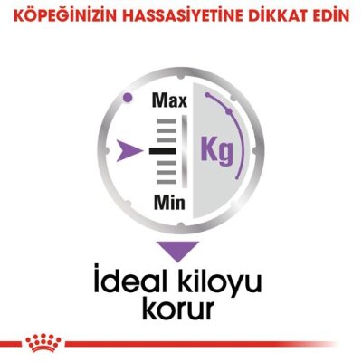 Royal Canin Kısırlaştırılmış Yetişkin Köpek Konservesi 85 gr