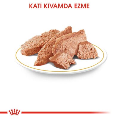Royal Canin Chihuahua Irkına Özel Köpek Konservesi 85 gr x 12 Adet