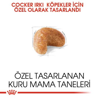 Royal Canin Cocker Irka Özel Yetişkin Köpek Maması 3 kg