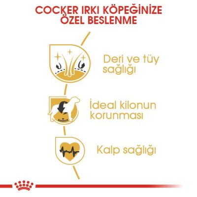 Royal Canin Cocker Irka Özel Yetişkin Köpek Maması 3 kg