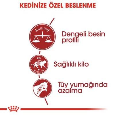 Aktif Yetişkin Kediler için Dengeli 10 kg Kedi Maması