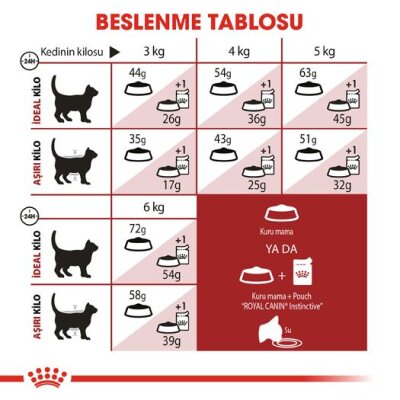 Aktif Yetişkin Kediler için Dengeli 10 kg Kedi Maması