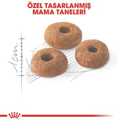 Royal Canin Fit 32 Yetişkin Kedi Maması 15 kg