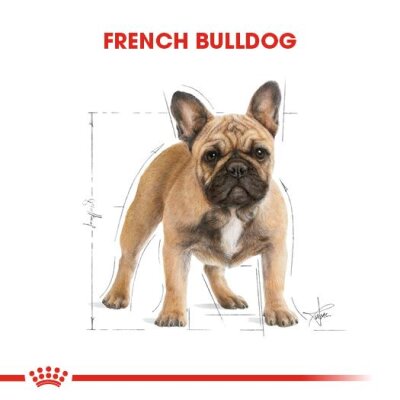 Royal Canin French Bulldog Irka Özel Köpek Maması 3 kg