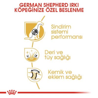 Royal Canin German Shepherd Irka Özel Köpek Maması 11 kg