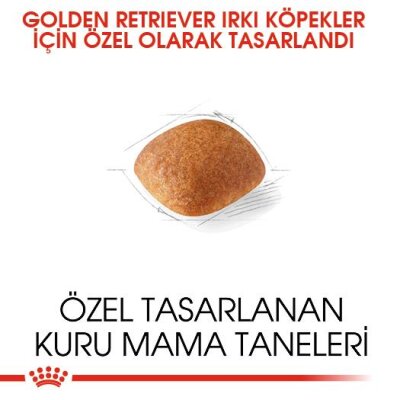 Royal Canin Golden Retriever Irkına Özel Köpek Maması 12 kg
