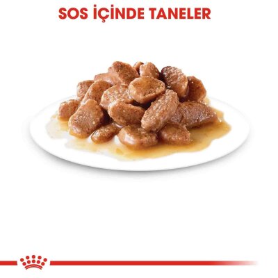 Royal Canin Sos İçinde Kısırlaştırılmış Kedi Konservesi 85 gr