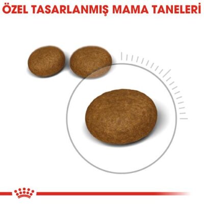 Royal Canin Hair & Skin Cilt ve Tüy Sağlığı Kedi Maması 4 kg