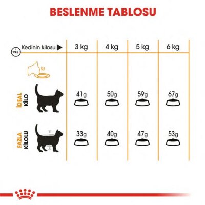 Royal Canin Hair & Skin Cilt ve Tüy Sağlığı Kedi Maması 4 kg