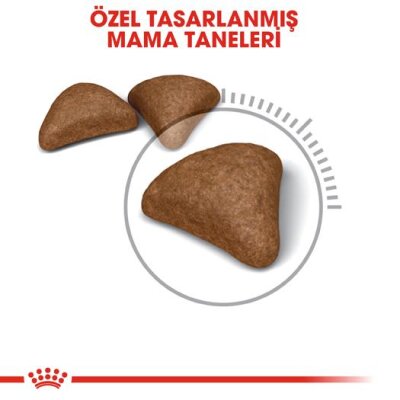 Royal Canin Hairball 34 Tüy Yumağı Kontrolü Yetişkin Kedi Maması 2 kg
