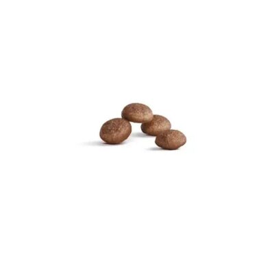 Royal Canin Healthy Ageing 11+ Yaşlı Kedi Maması 2 kg