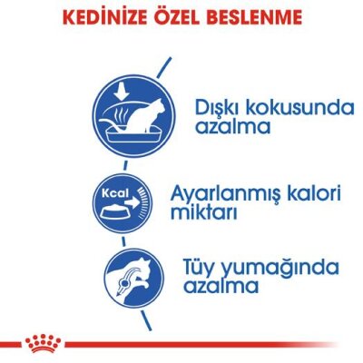 Royal Canin Indoor 27 Ev Kedisi Maması 2 kg