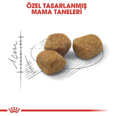 Royal Canin Indoor +7 Ev Kedisi Yaşlı Kedi Maması 1,5 kg