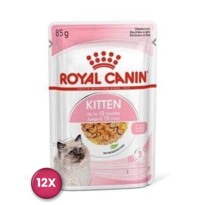 Royal Canin Jöle İçinde Yavru Yaş Kedi Maması 85 gr x 12