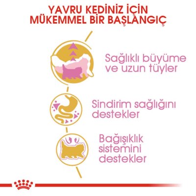 Royal Canin Kitten Persian 32 İran Irkına Özel Yavru Kedi Maması 2 kg