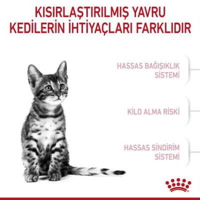Kısırlaştırılmış Yavru Kediler için Özel 2 kg Kedi Maması