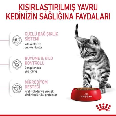 Kısırlaştırılmış Yavru Kediler için Özel 2 kg Kedi Maması