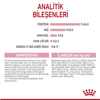 Royal Canin Kitten Yavru Kedi Maması 10 kg