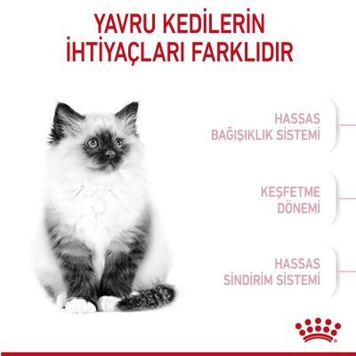 Royal Canin Kitten Yavru Kedi Maması 4 kg