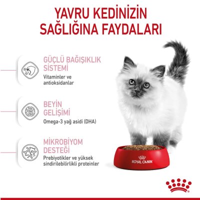 Royal Canin Kitten Yavru Kedi Maması 4 kg