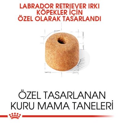 Royal Canin Labrador Retriever Irkına Özel Köpek Maması 12 kg