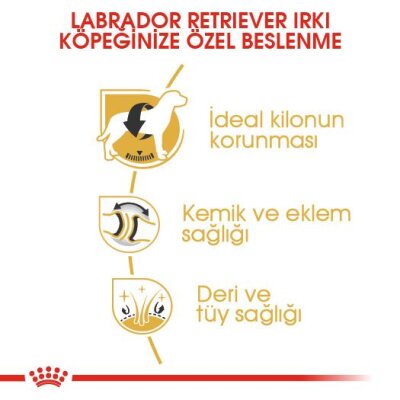 Royal Canin Labrador Retriever Irkına Özel Köpek Maması 12 kg