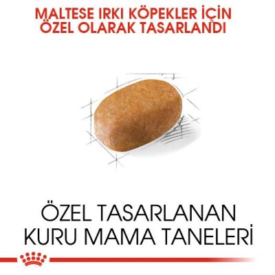 Royal Canin Maltese Terrier Irkına Özel Yetişkin Köpek Maması 1,5 kg