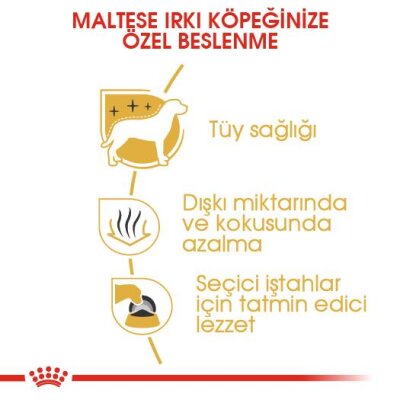 Royal Canin Maltese Terrier Irkına Özel Yetişkin Köpek Maması 1,5 kg