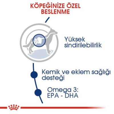 Royal Canin Maxi Adult Büyük Irk Yetişkin Köpek Maması 15 kg