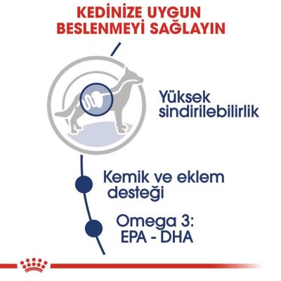 Royal Canin Maxi Adult Büyük Irk Yetişkin Köpek Konservesi 140 gr